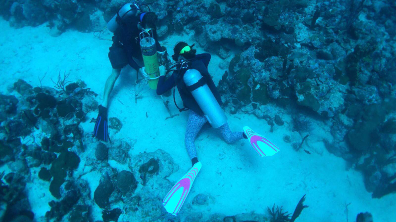 Researchers deploying an underwater microphone on Weinberg Reef. Photo: Rebecca Becicka, Alex Veglia, Jack Olson.